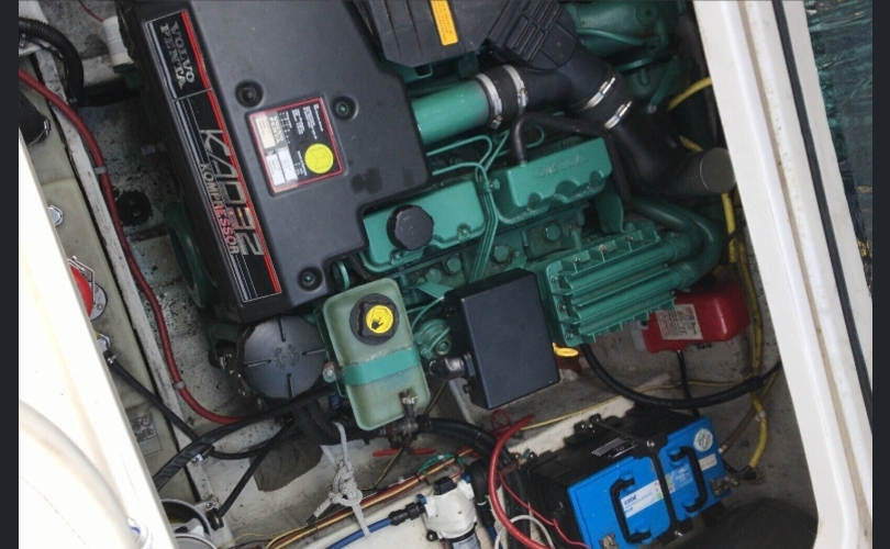 Bayliner 265 SB-kuva-6